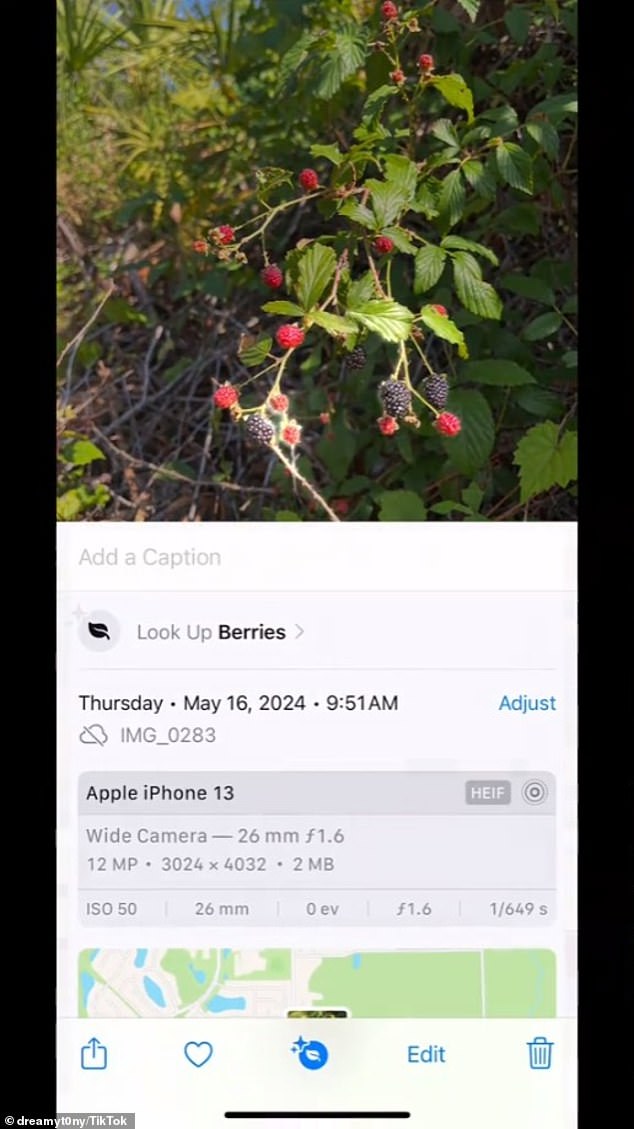 iPhone users can identify a plant or animal by taking a photo of it with the device's camera, clicking the info button after opening the photo and pressing Lookup