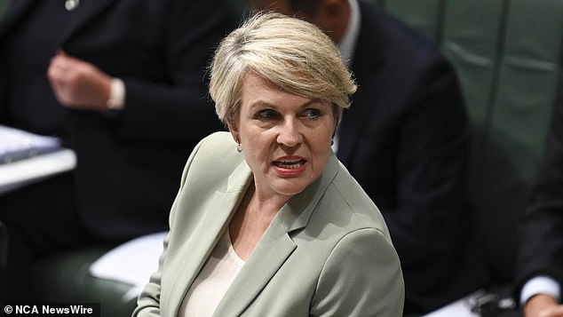 Labor frontbencher Tanya Plibersek has added her voice to the tirade of criticism of the opposition's push for nuclear energy, labeling the proposal as 'completely irrational' and 'designed to distract'.