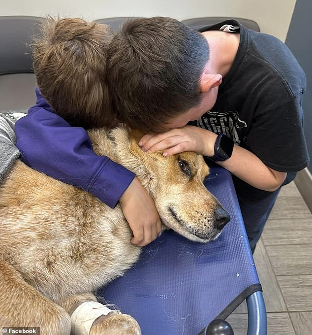 A family's therapy dog ​​that helped two young boys grieve for their military father was mysteriously shot in Minnesota last week