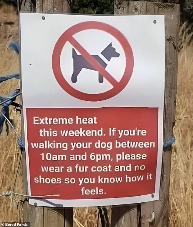 People from all over the world have been sharing the funny signs they've seen, and Bored Panda has collected the best bits in an online gallery, including one sign, in Australia, asking dog owners to wear a fur coat and no shoes when in run the heat so they know how their puppies are feeling