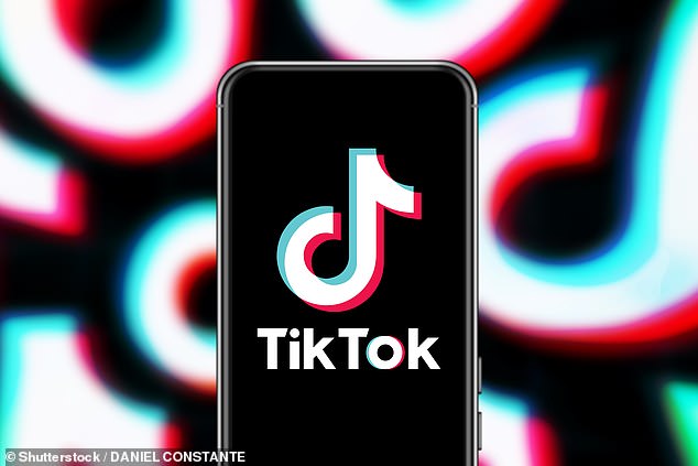 It's one of the most popular social media apps ever, but TikTok has fallen victim to a cyberattack that targeted people through direct messages (DMs)