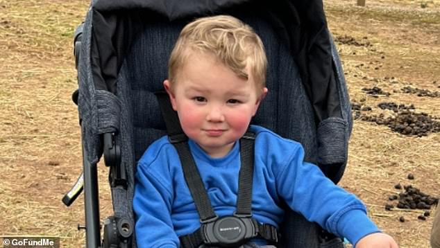 2-year-old Luka was found unconscious in a dam by rescue teams late Tuesday, shortly after his mother, Karin Huddle, reported him missing.