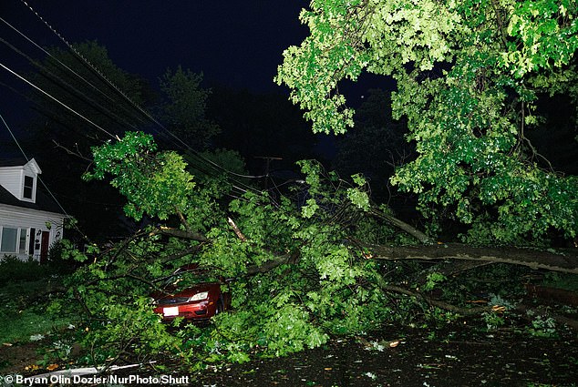 Meanwhile, in Maryland, five people were injured after another large tree fell through a family home.  Leaving one person with 'traumatic injuries'