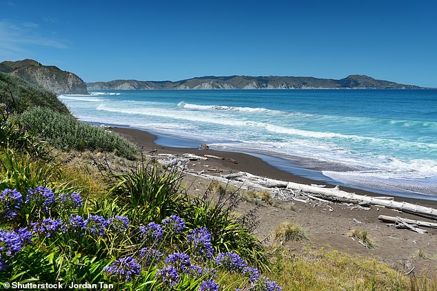 The fisherman's bodies were found on the coast at Mahia (pictured), south of Gisborne, on the east coast of New Zealand's North Island.