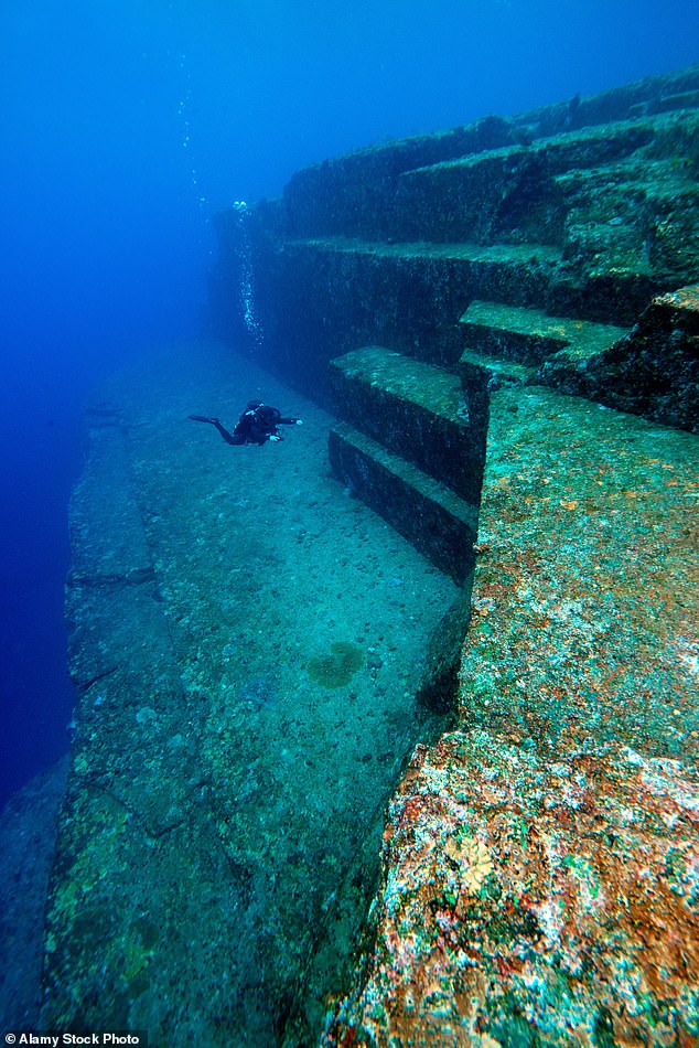 As an example of a potentially hidden advanced species, the researchers described a massive submerged stone structure discovered by a diver off the coast of Yonaguni Jima in Japan that some marine geologists claim could be the remains of a 