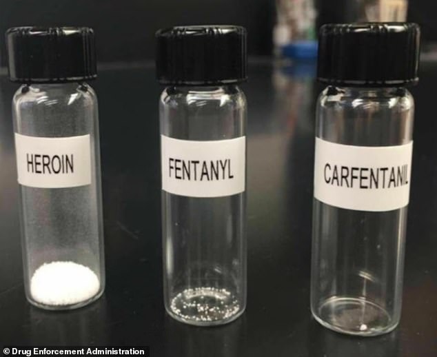 Fentanyl and carfentanil are very powerful and more deadly than heroin, another opioid.  Just a few grains of either can be fatal