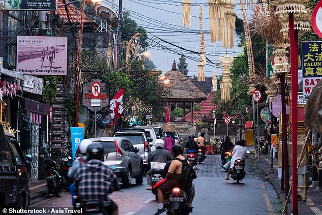 Travelers are advised to take precautions against the mosquito-borne disease in Bali (pictured), which can cause serious illness and even death