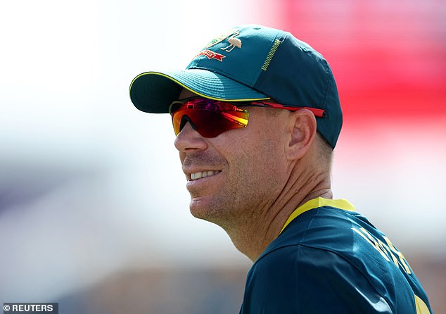 David Warner (pictured) has proven his opponents wrong with a crucial spell with the bat