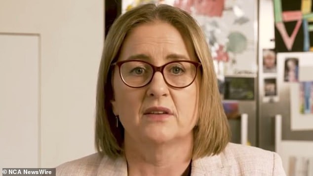 Victorian Premier Jacinta Allan has announced a radical new 'pill testing' process to reduce overdose deaths at festivals