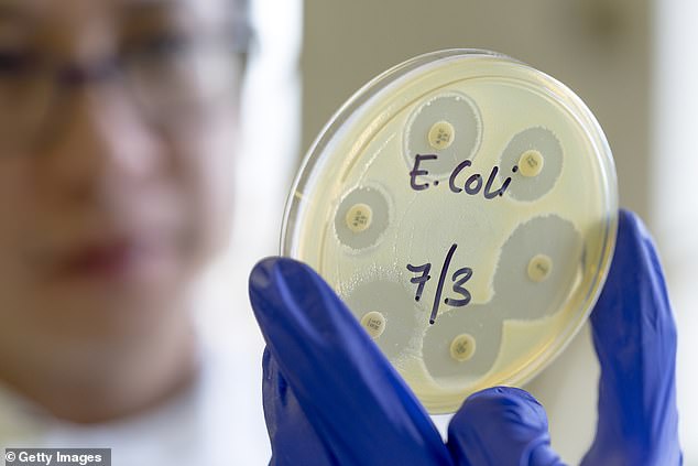 It is now known that more than 200 Britons have been affected in recent weeks by Shiga toxin-producing E.coli (STEC), a rare variant of the diarrhea-causing bug