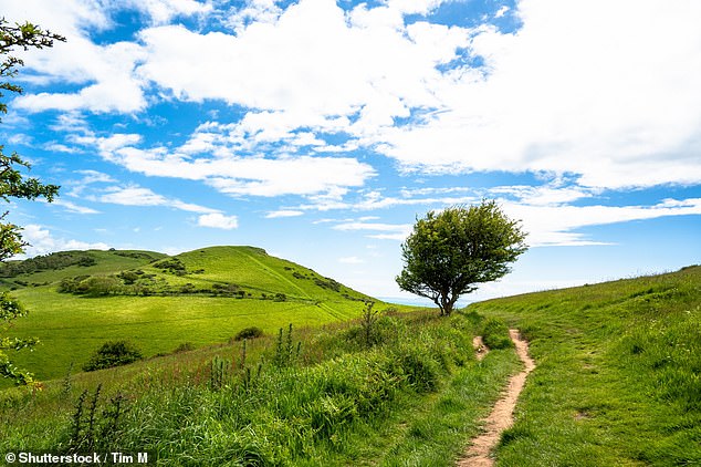 Cara and Jeremy loved the UK's network of public footpaths.  Above - Doghouse Hill near Seatown in Dorset