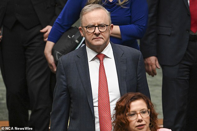 Peter Van Onselen was removed from the all-important email distribution list that the Prime Minister's media team sends to political journalists after a series of sharp opinion pieces on Anthony Albanese's woes (above)