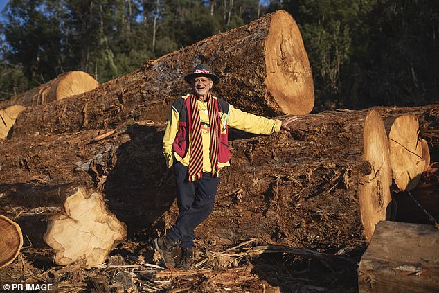 Jim Everett-puralia meenamatta (pictured), 81, said he had no intention of appearing in a 'colonial court', claiming it has 'no jurisdiction whatsoever over the Aboriginal people who protect our land'