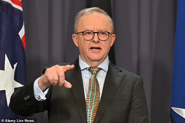 Australia is accepting more than 10,000 immigrants a week, despite Anthony Albanese's pledge to halve the number of new arrivals next year