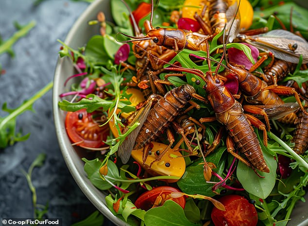 Fancy a cricket salad?  Insects are said to be full of protein and offer a more sustainable alternative to red meat and poultry.  The photo shows an AI-generated image of what this could look like