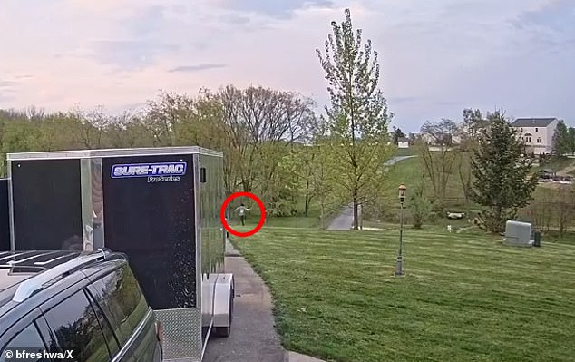 The owner was seen frantically running after his beloved Cybertruck, but it was too late