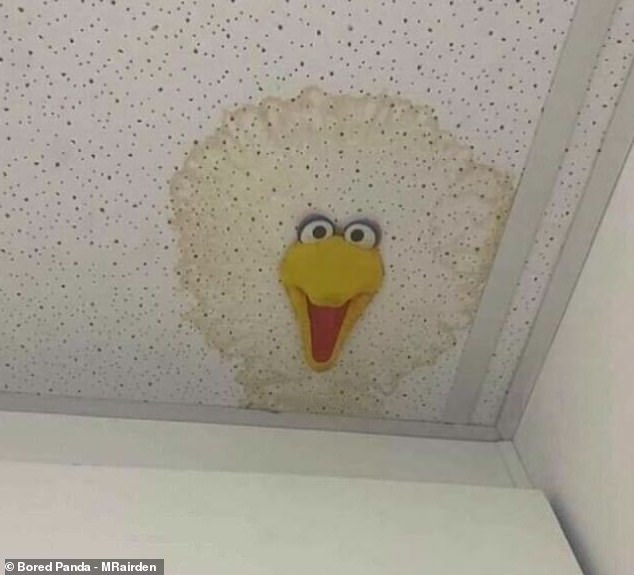 Rather than tackle the damp patch the traditional way, an office in the UK added an image of Big Bird from the Muppets