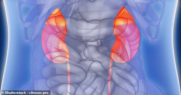 Chronic kidney disease is a common condition affecting more than seven million Britons, but it often goes undiagnosed as patients usually experience no symptoms initially