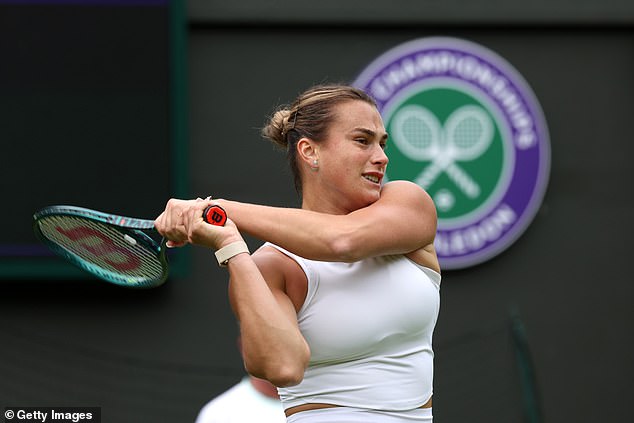 The world No. 3 previously expressed frustration at being able to do almost anything in her game