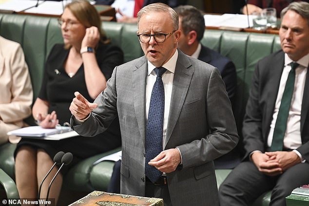 Many Australians like Emma are pleading for more cost-of-living relief from Prime Minister Anthony Albanese (pictured)