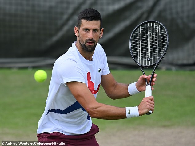 Novak Djokovic hopes to add to his seven Wimbledon titles when he begins his campaign on day two