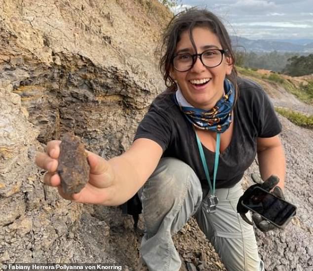Mónica Carvalho, co-author of the paper, holds the fossil of the oldest grape seed found in the Western Hemisphere