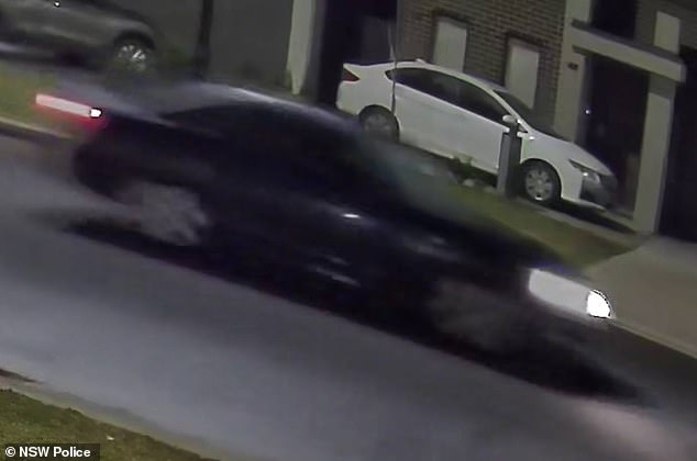 Police have released images of the purple coupe (pictured) that allegedly hit the grandfather and failed to stop