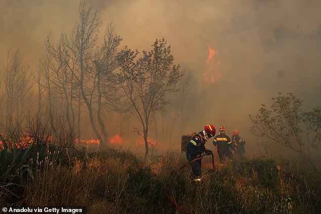STAMATA -- Firefighters try to extinguish a forest fire in the region