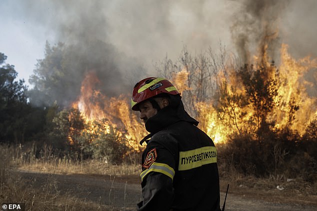 STAMATA -- A firefighter stands near a raging blaze