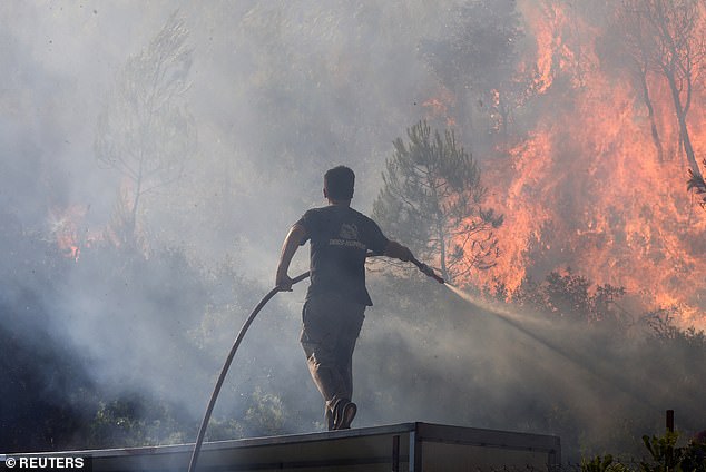 STAMATA -- A volunteer tries to extinguish a forest fire raging near Athens, June 30