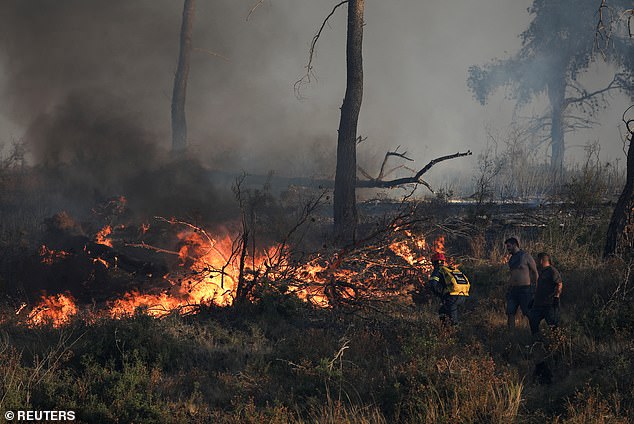 STAMATA -- A firefighter and volunteers try to extinguish a forest fire, June 30