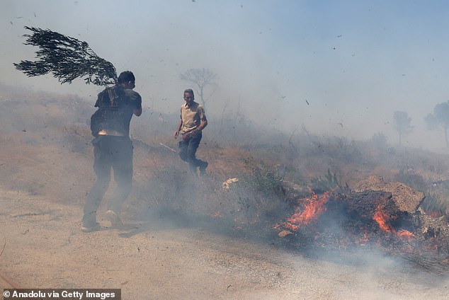 KERATEA -- People try to extinguish a forest fire with a branch