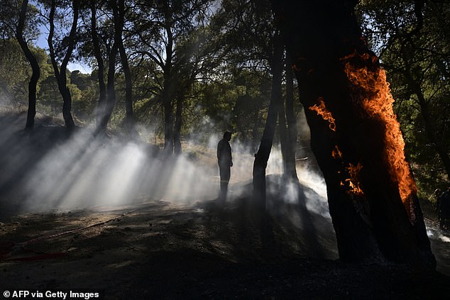 KERATEA -- A firefighter watches as smoke rises as flames engulf a tree