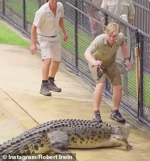 Robert made fans do a double take after sharing a video of himself feeding a crocodile