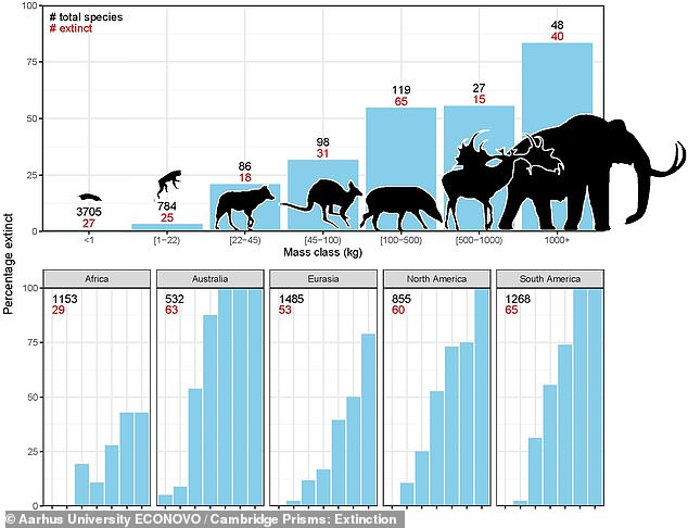 The researchers noted that 40 of the 48 known large mammals became extinct during this period (top right of graph), while only increasingly smaller percentages of the lower 