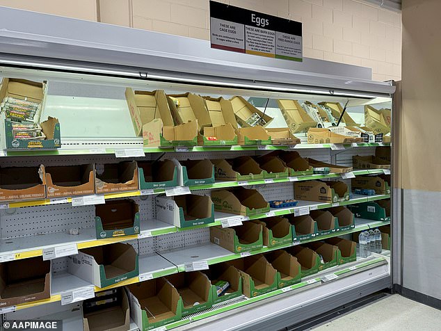 Egg shortage at Coles supermarket in Canberra on Sunday