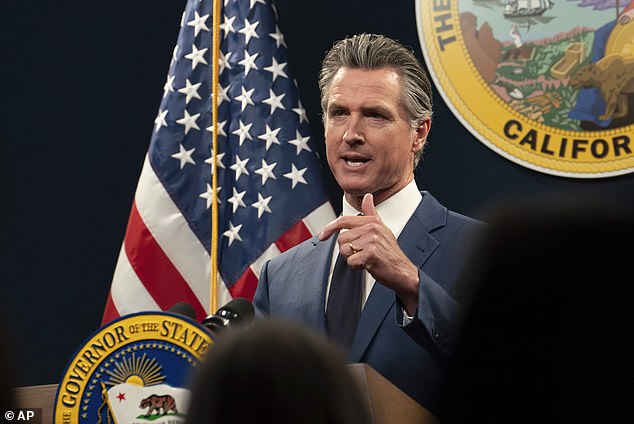 Newsom, 56, told DailyMail.com that claims he could replace Biden, 81, in November were 