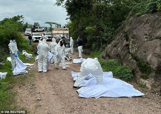 According to the Chiapas state prosecutor's office, the victims were hitmen linked to the Guatemala and Chiapas Cartel, an organization linked to the Jalisco New Generation Cartel, which is at war with the Sinaloa Cartel over weapons, drugs and migrant smuggling routes in La Concordia, a town 80 miles (130 kilometers) from the Guatemalan border.