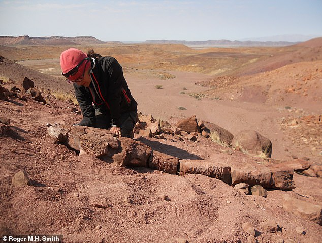 Researchers discovered four well-preserved specimens of Gaiasia jennyae in a region of present-day Namibia