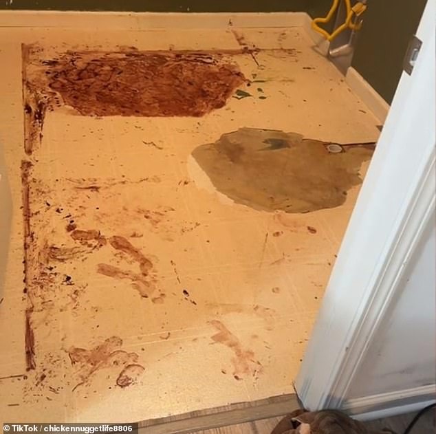 She described peeling off the top layer of tiles in the laundry room after a water leak, and finding a disturbing reddish stain on the floor below.