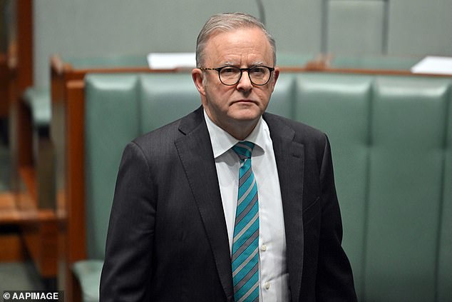 Mr Albanese said electricity bills and taxes would rise if nuclear energy were introduced
