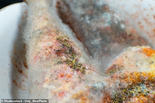 File photo. Nancy Kirchoff said she was told there was mold on the chicken — but also that 