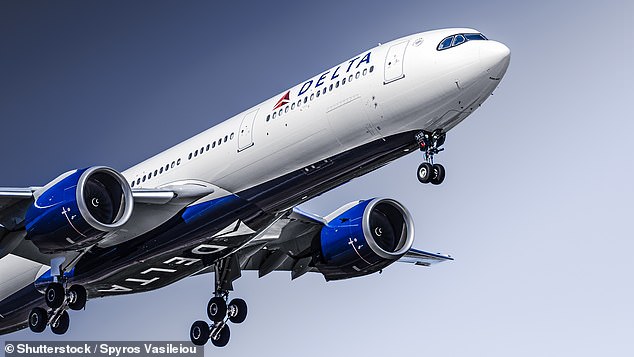 A Delta spokesperson told DailyMail.com that its teams are investigating the incident and have apologized to its customers (stock photo)