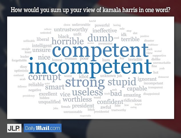 JL Partners asked 1,000 likely voters for their one-word summary of Kamala Harris