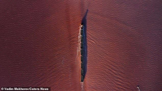 Vadim said: 'The water turns pink because of small crustaceans and microalgae that only reproduce in very salty water'