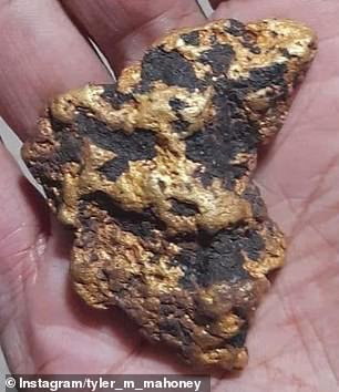Ms. Mahoney explained that only experienced prospectors can spot a gold nugget in the wild