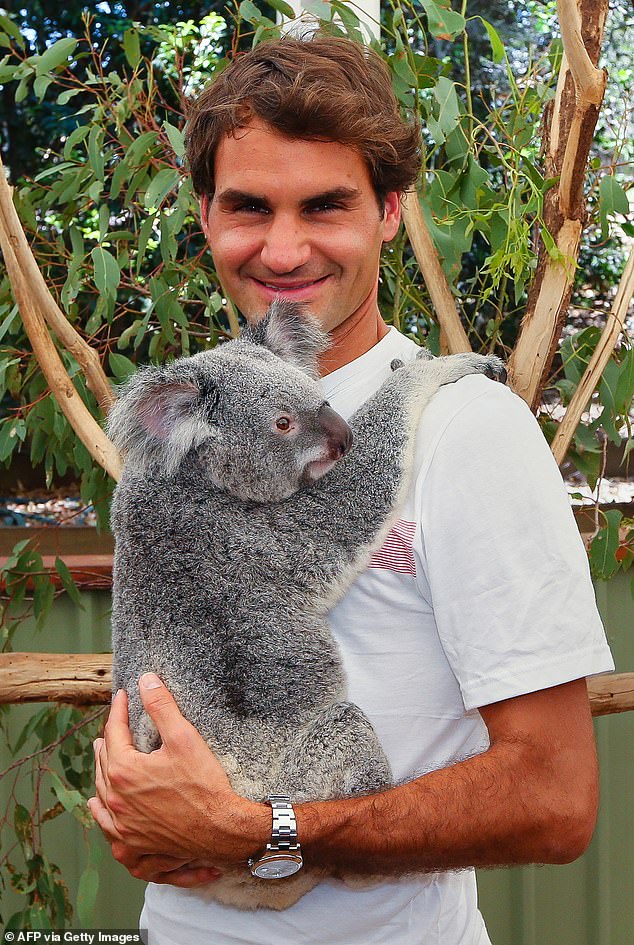 Tennis player Roger Federer poses with a koala during a visit to the reserve on December 29, 2013