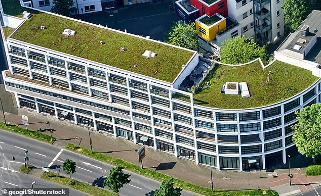 'Green roofs' (those covered with vegetation) provide habitats for wildlife and convert CO2 into oxygen, but the modelling study found they did not reduce overall temperatures in London. Pictured is a green roof in Düsseldorf, Germany