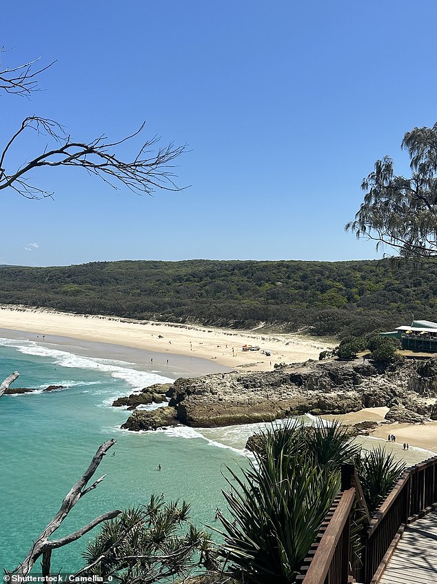 Mr Burns was fined $20,000 in February for cutting down 2,900 square metres of protected vegetation at Point Lookout (pictured)