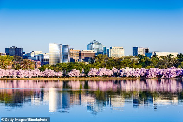 Washington, DC at the Tidal Basin during cherry blossom season with the cityscape of the Rosslyn business district seen here